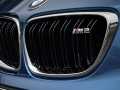 Bmw M2 2016 (21)