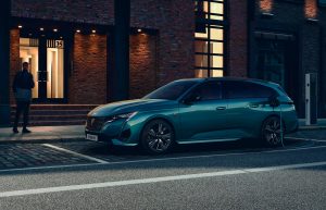 Peugeot 308 segmentos