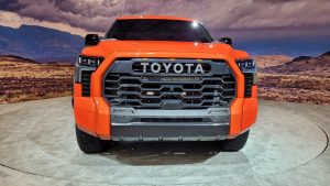 Tundra