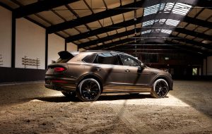 Bentayga Belgian Equestrian