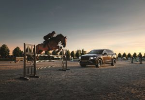 Bentayga Belgian Equestrian