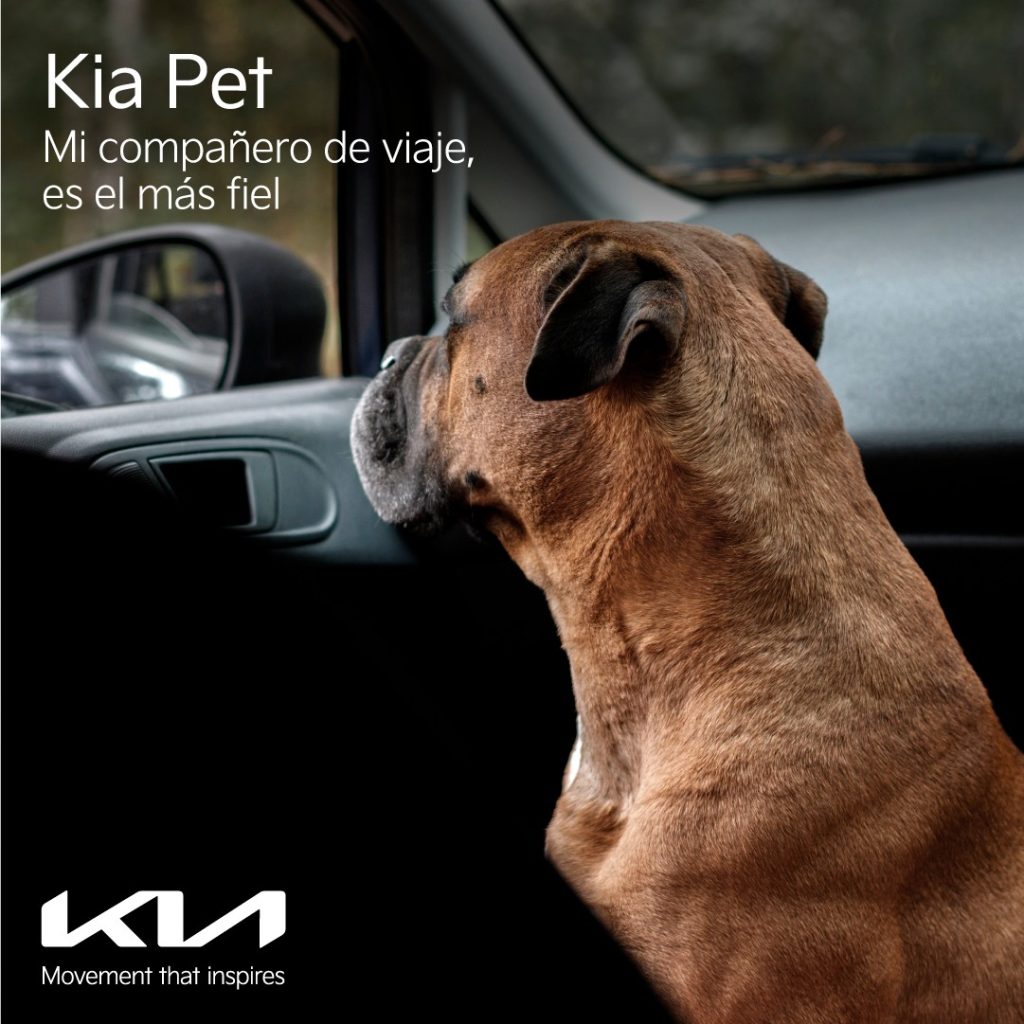 Abre sus puertas a las mascotas: Kia Chile ahora es pet friendly Abre sus puertas a las mascotas: Kia Chile ahora es pet friendly