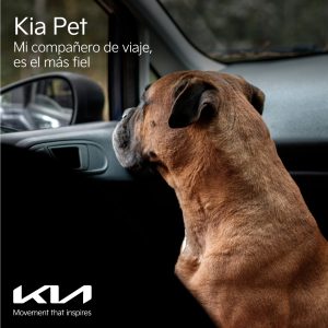 Pet Friendly