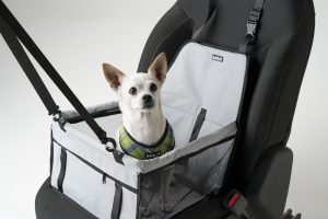 Pet Friendly