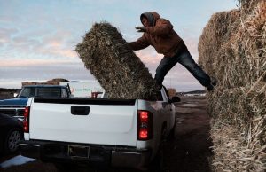 Camionetas hilux