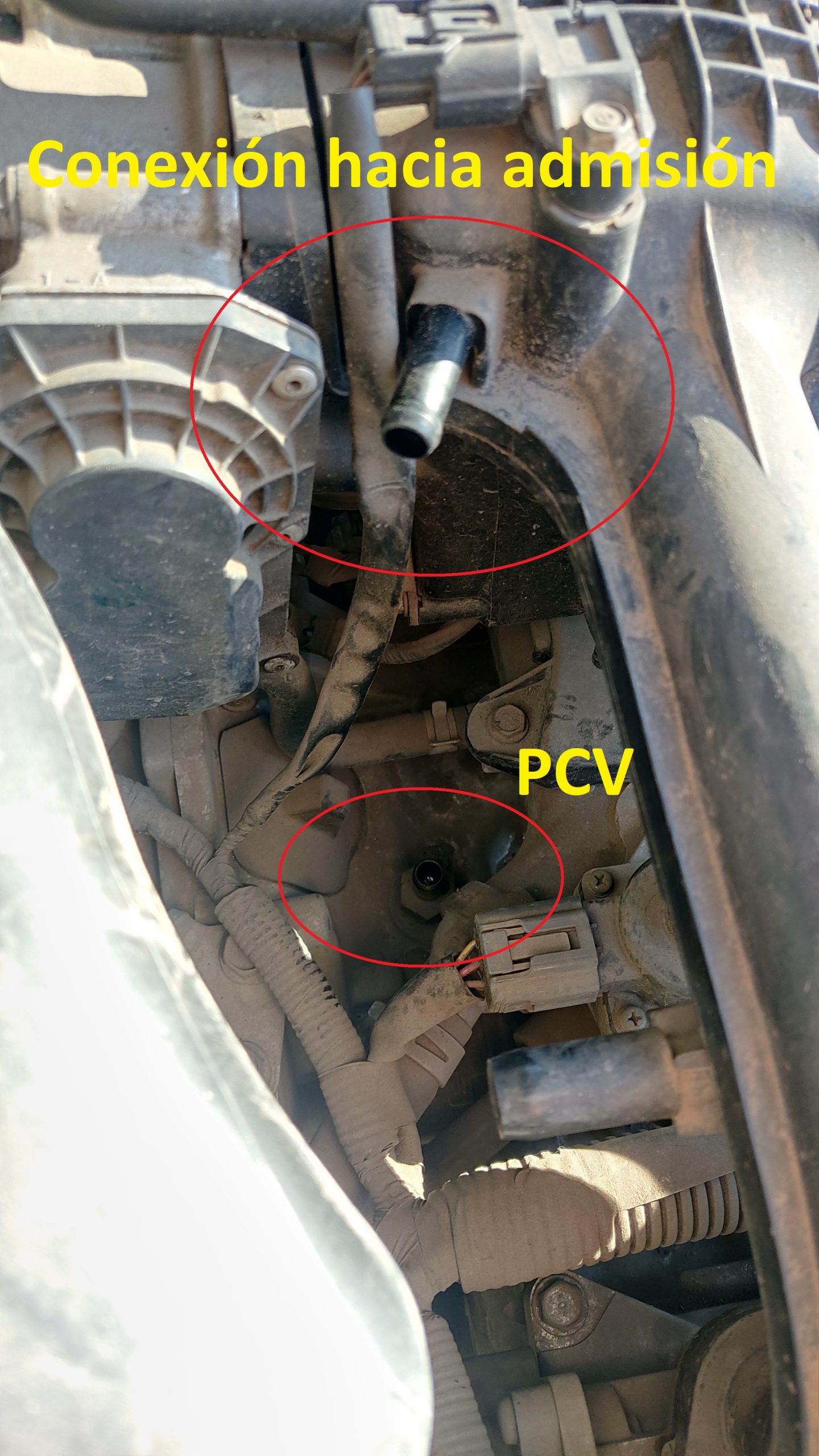 Hágalo usted mismo Cómo reemplazar o limpiar la válvula PCV Rutamotor