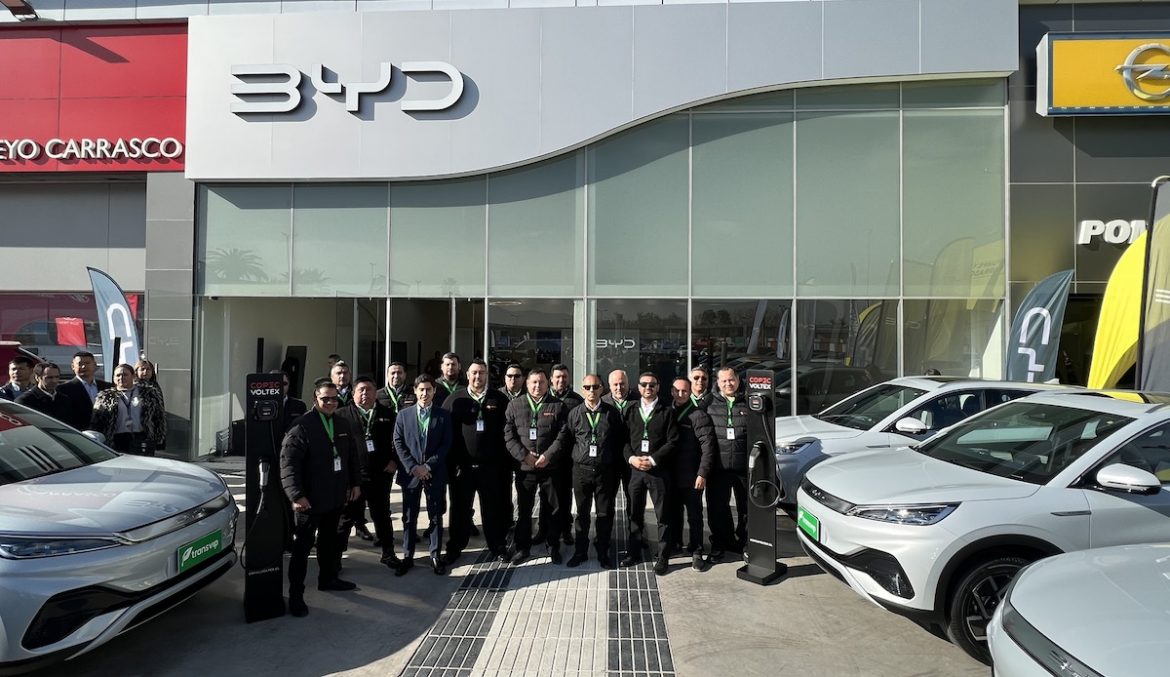 BYD Transvip