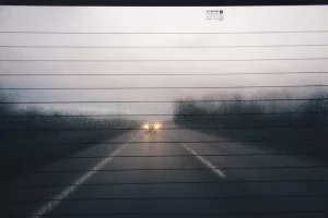 seguridad