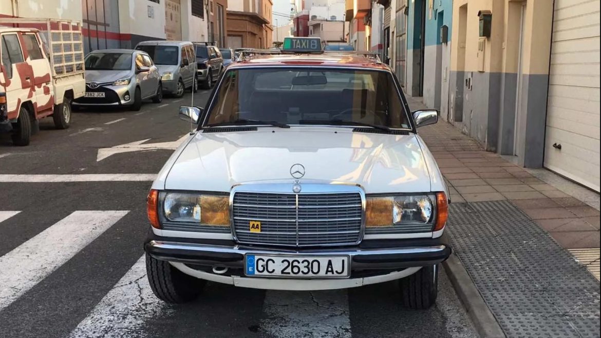 Dominguito W123