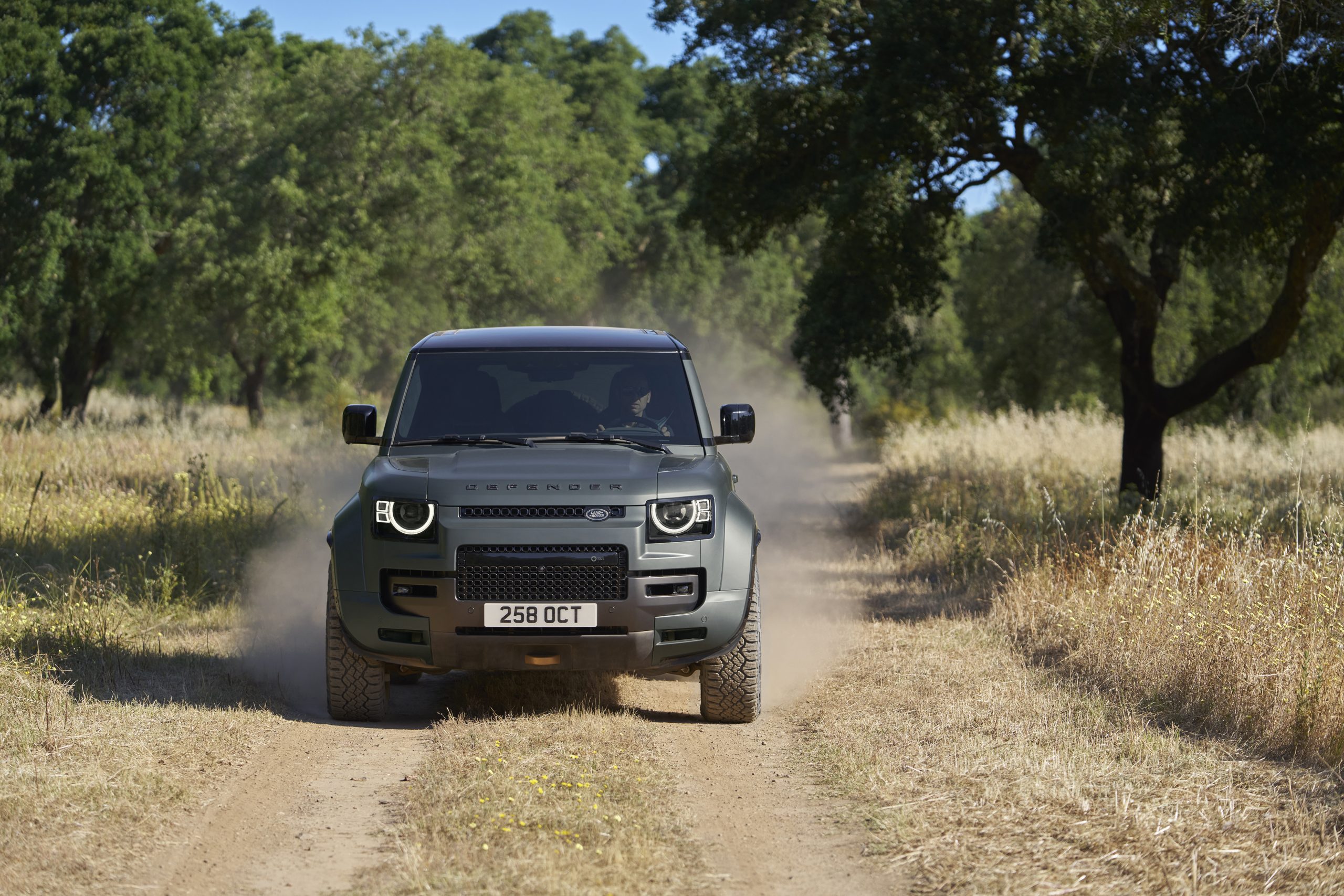 Defender OCTA