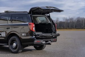 Expedition