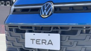 Volkswagen Tera