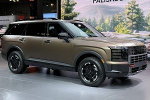 Palisade XRT PRO