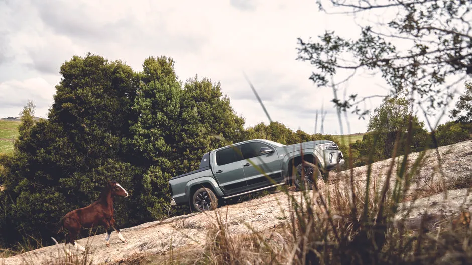 Amarok V6