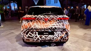 Cupra Raval