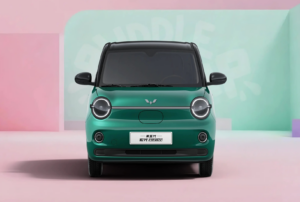 Hongguang Mini EV