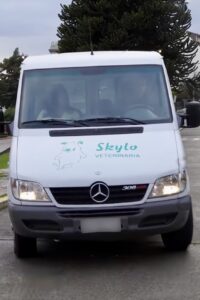 Sprinter