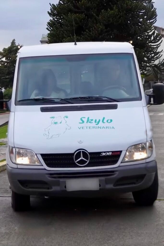 Sprinter