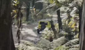 Rhino