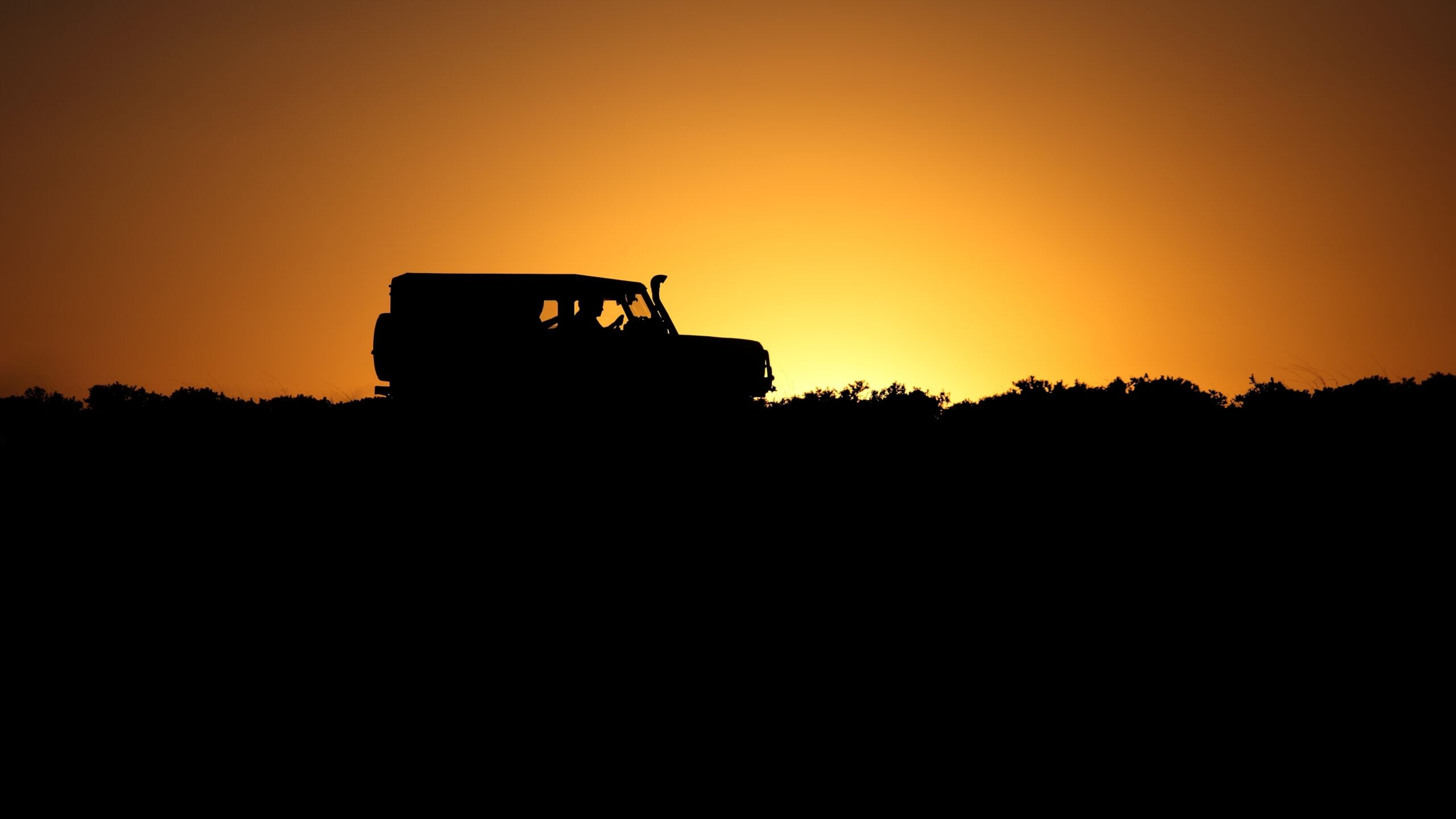 4x4 4WD