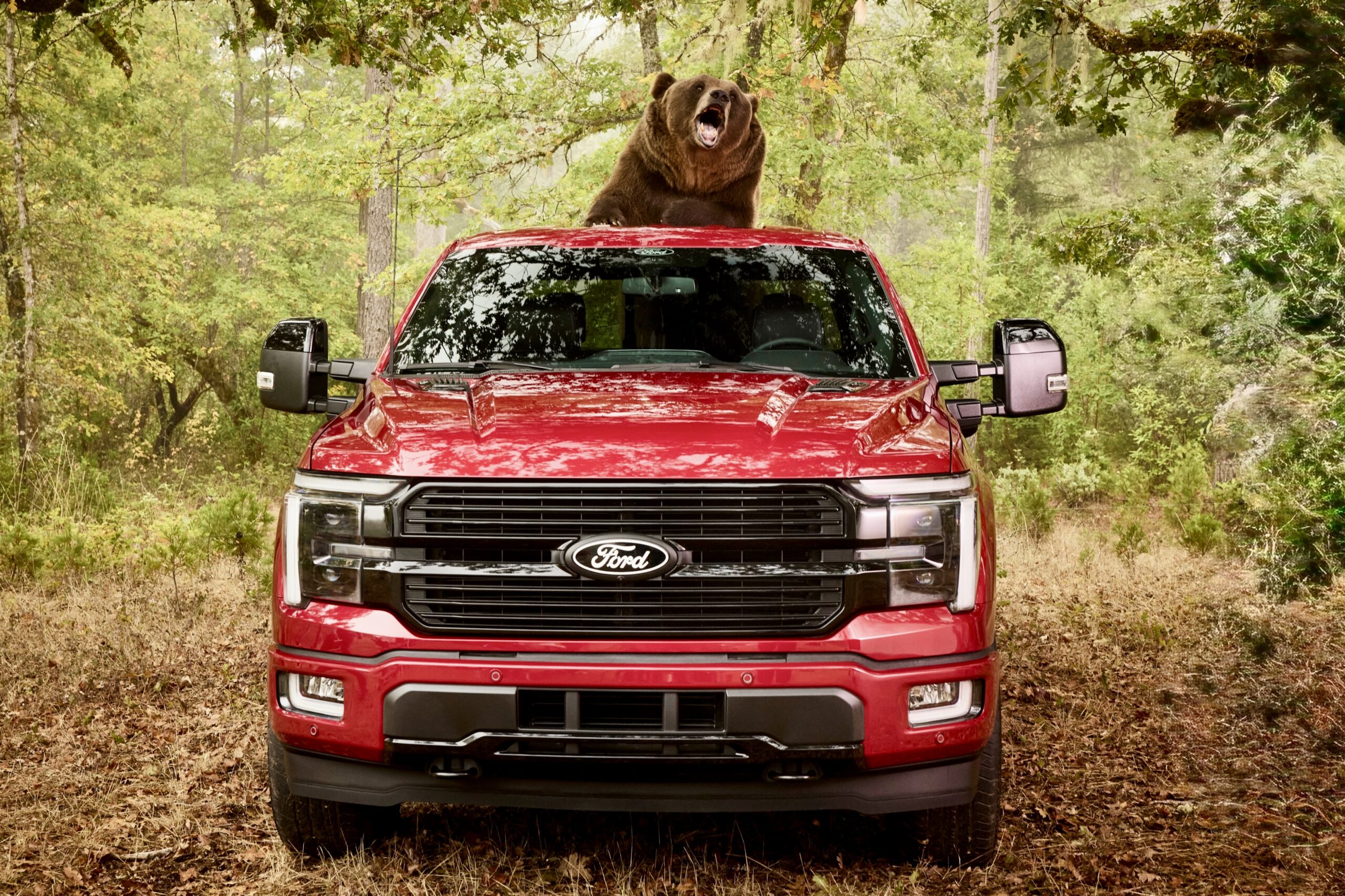 Ford Oso
