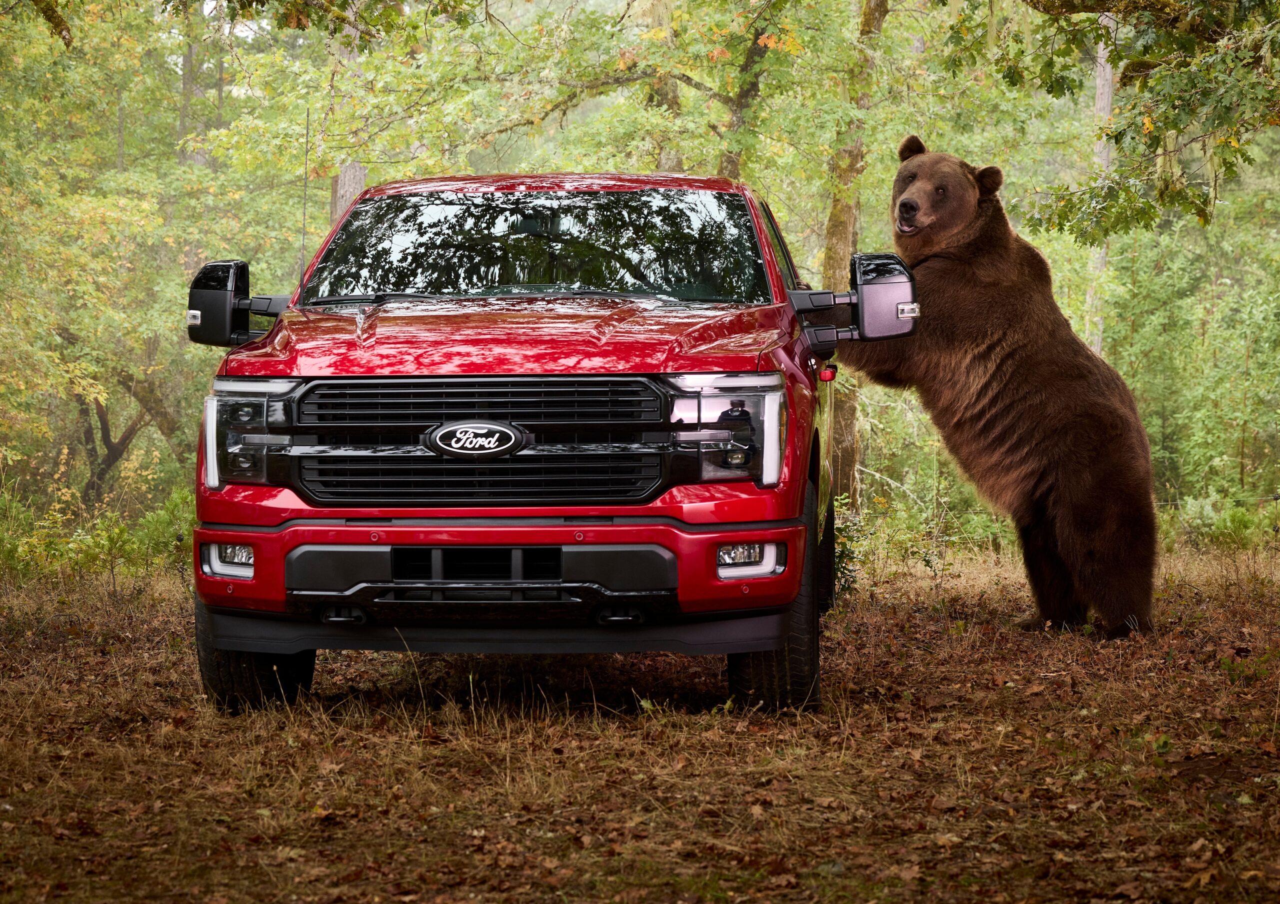 Ford Oso Rutamotor _3
