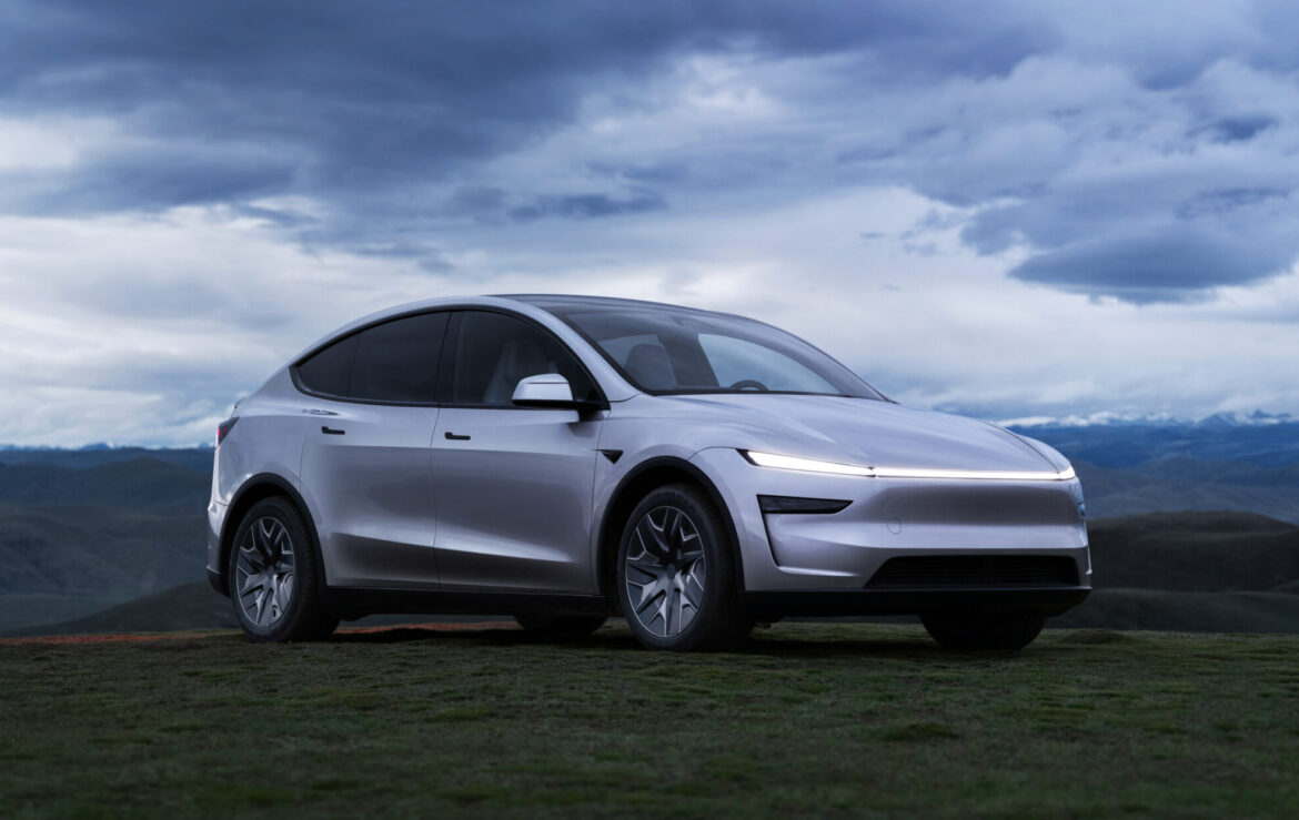 Model Y L