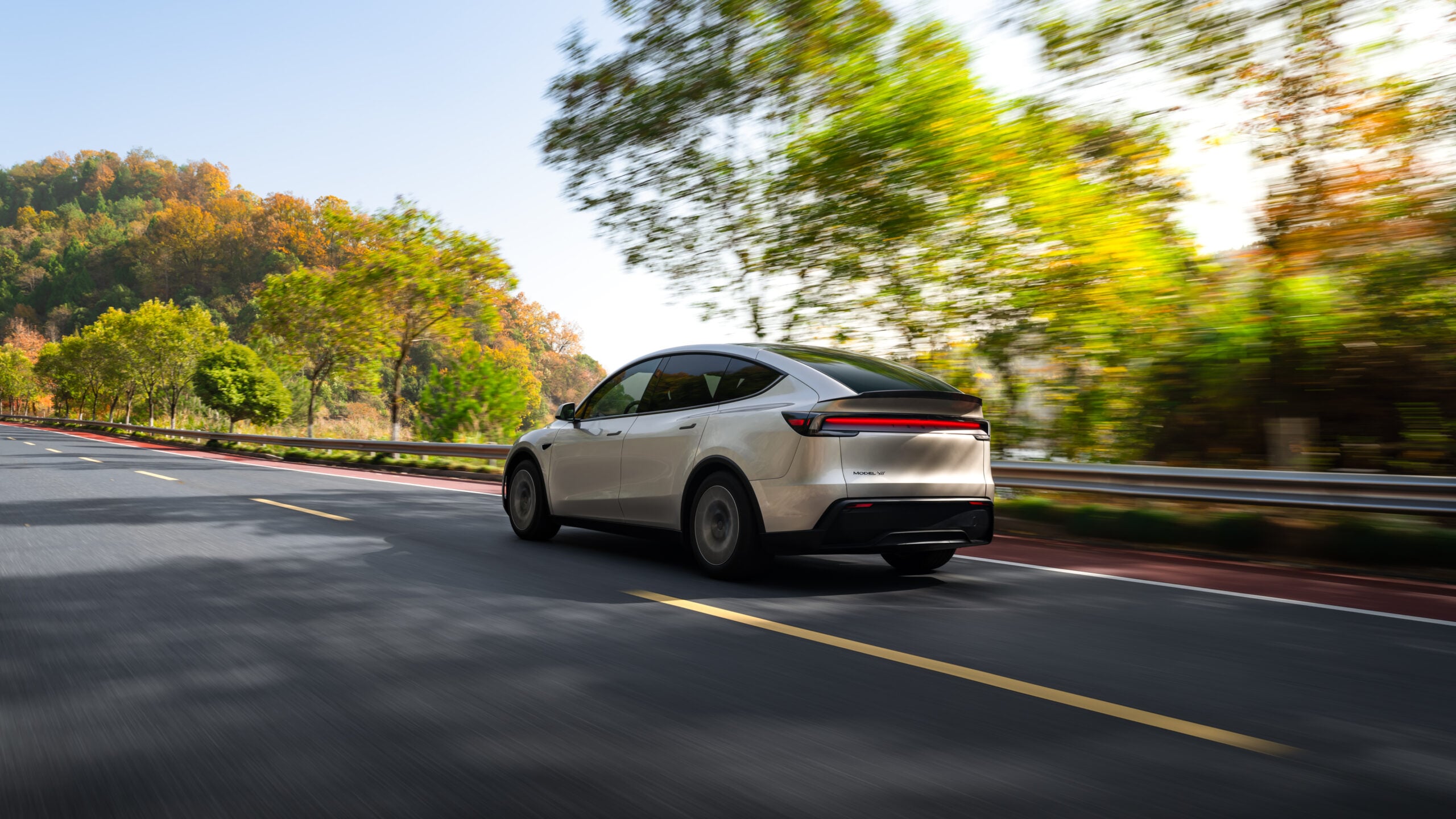 Model Y L Model Y L